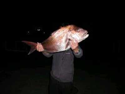 2009年2月28日（土）マダイの81cmを釣られました