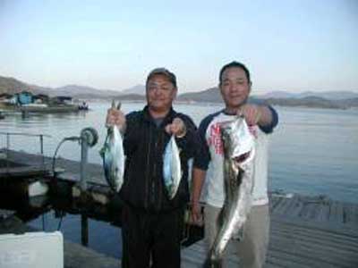 2009年11月7日（土）スズキの73cmを釣られました