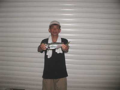 2010年8月21日（土）若狭湾で鯵やキスを釣られました