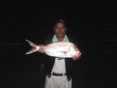 2010年10月14日（木）若狭湾で鯛の60cmを釣られました