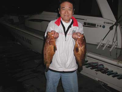2010年11月7日（日）若狭湾でアコウを釣られました