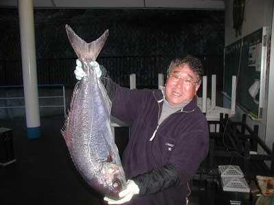 2011年2月19日（土）若狭湾でメダイの85cmを釣られました
