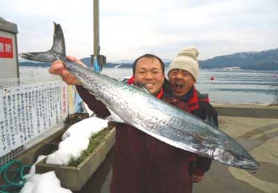 2012年2月21日（火）若狭湾でサワラの90cmを釣られました