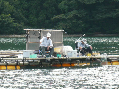 2008年8月23日（土）舞鶴は吉田の筏でチヌ釣りをされている風景（2名）