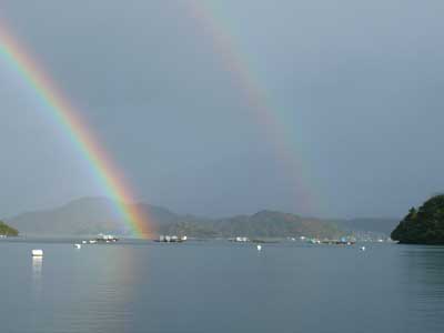 2008年11月30日（日）虹も薄れて来ましたので2重に見えている内に写真を撮りました
